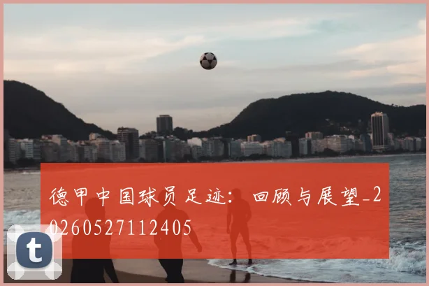 德甲中国球员足迹:回顾与展望_20260527112405